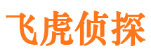 宣城市调查公司